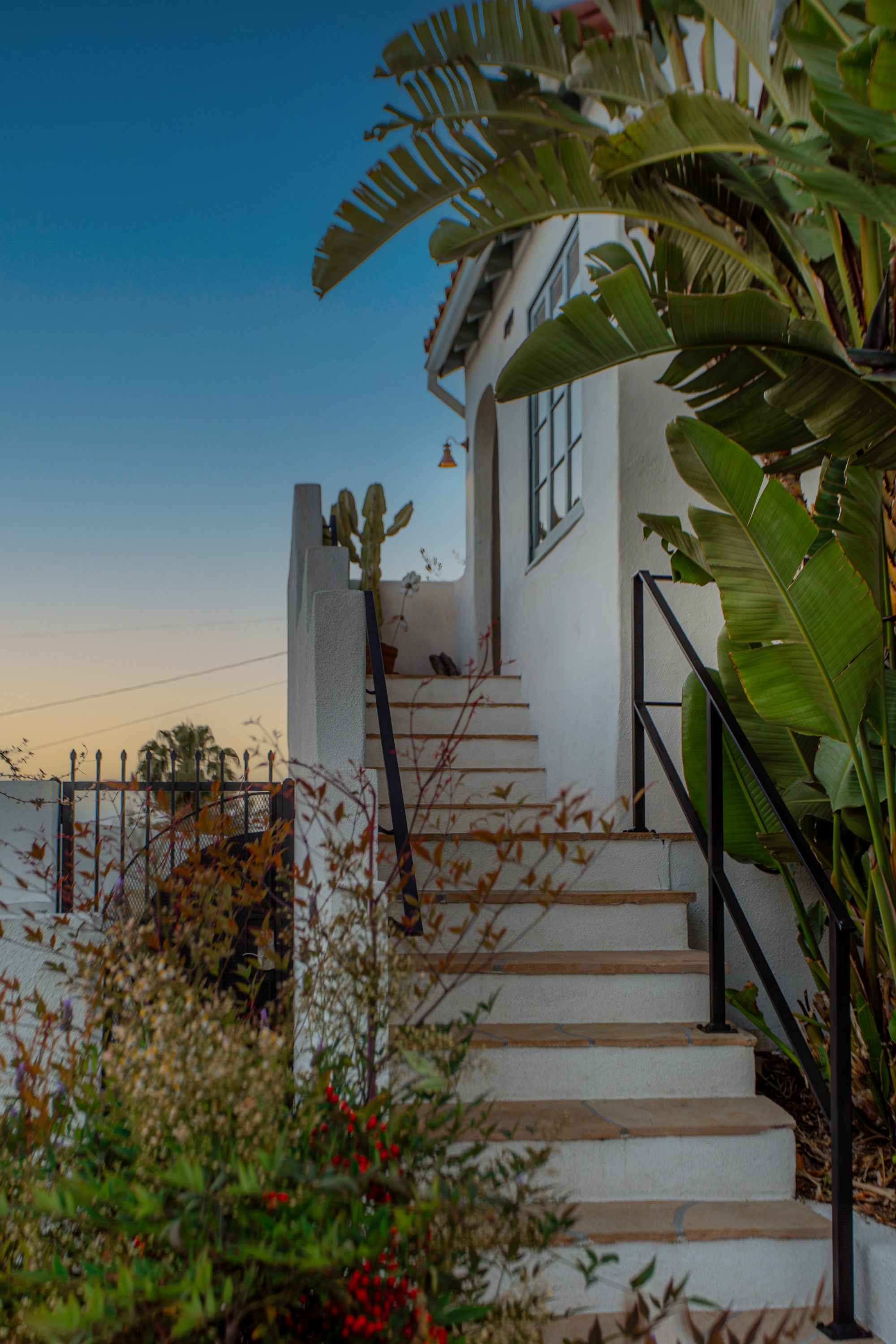The entry stair at dusk rising past a wrought-iron gate and a bird-of-paradise plant to the arched front door