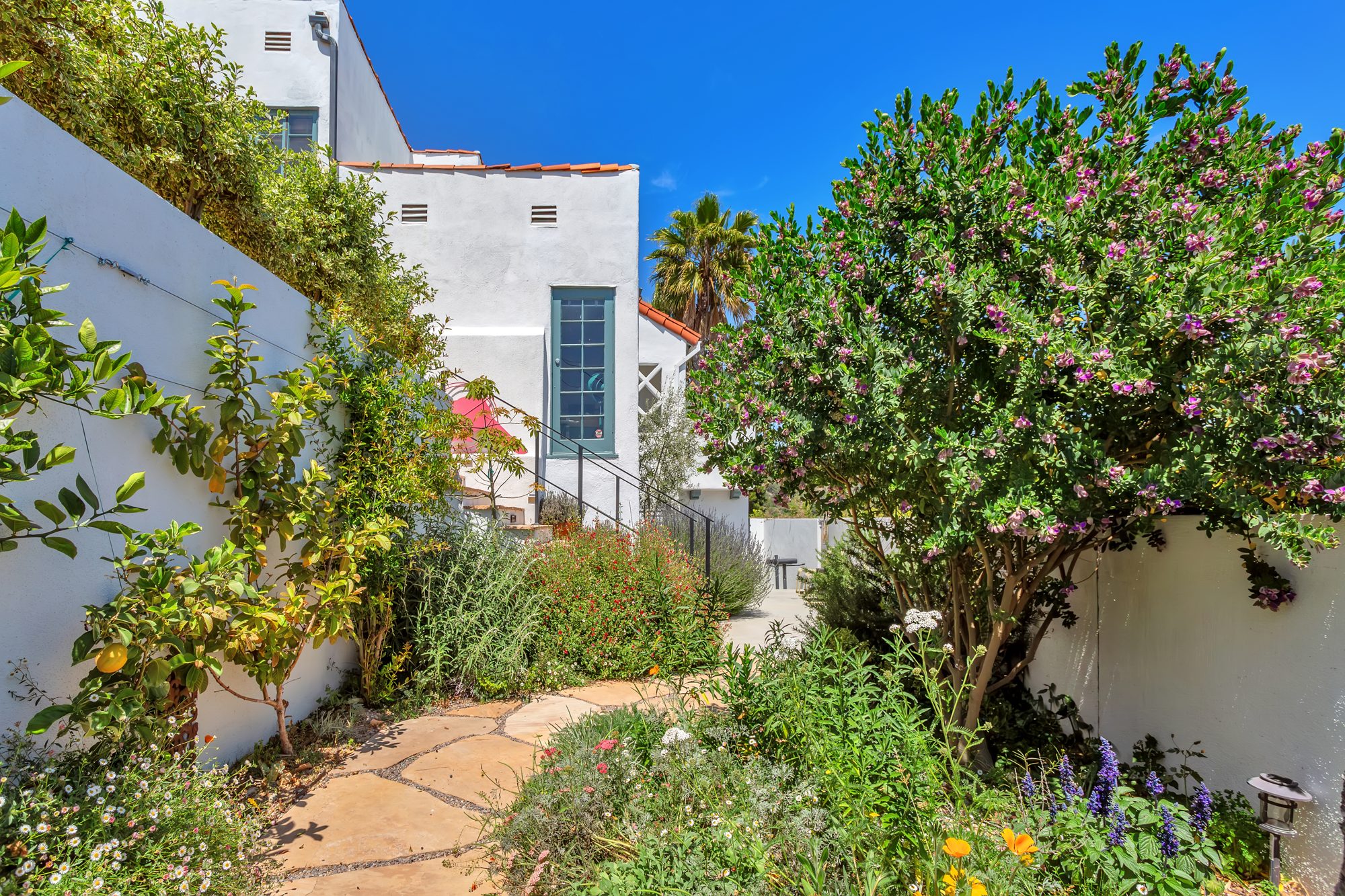 Flagstone path through the lower south garden with a citrus tree, flowering shrubs, and the white stucco house above